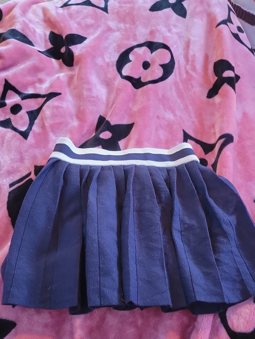 aerie Navy Pleated Skirt with Striped Waistband